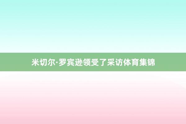 米切尔·罗宾逊领受了采访体育集锦