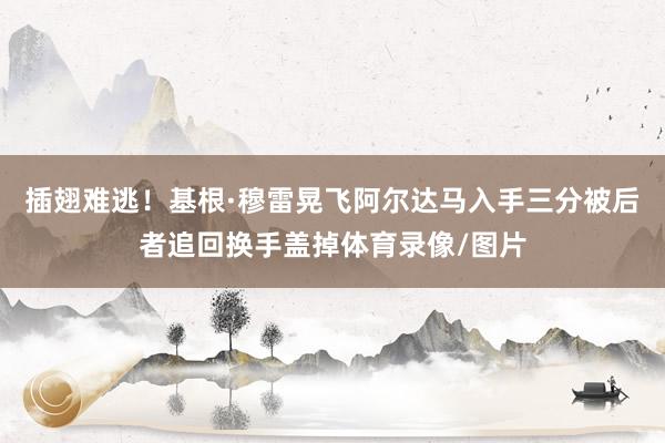 插翅难逃！基根·穆雷晃飞阿尔达马入手三分被后者追回换手盖掉体育录像/图片