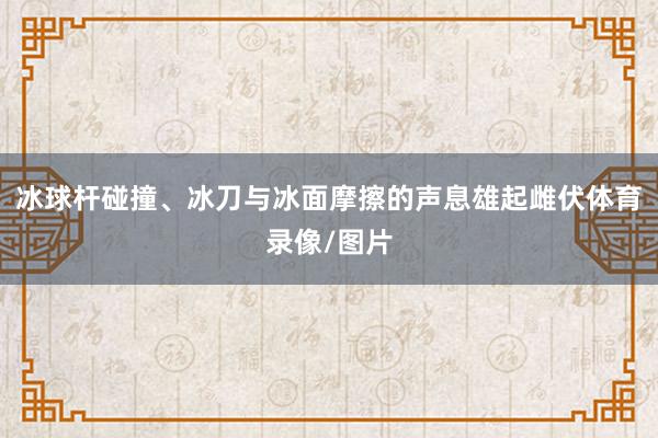 冰球杆碰撞、冰刀与冰面摩擦的声息雄起雌伏体育录像/图片