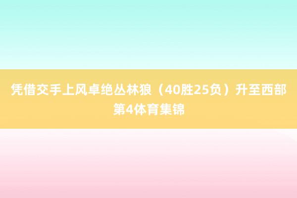 凭借交手上风卓绝丛林狼（40胜25负）升至西部第4体育集锦