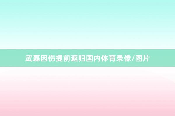 武磊因伤提前返归国内体育录像/图片