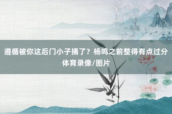 遵循被你这后门小子捅了？杨鸣之前整得有点过分体育录像/图片