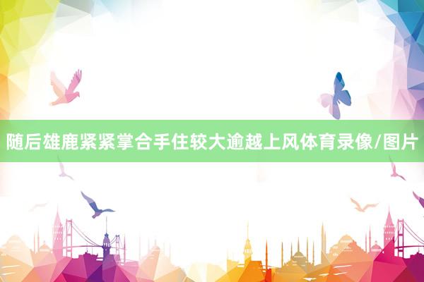 随后雄鹿紧紧掌合手住较大逾越上风体育录像/图片