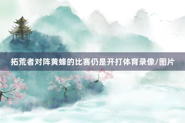 拓荒者对阵黄蜂的比赛仍是开打体育录像/图片