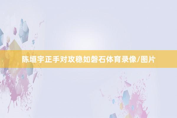 陈垣宇正手对攻稳如磐石体育录像/图片