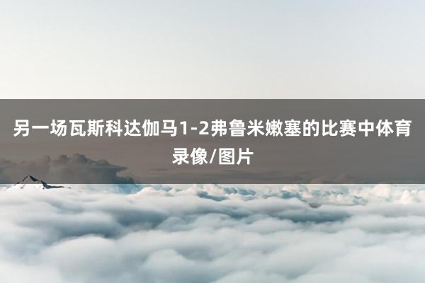 另一场瓦斯科达伽马1-2弗鲁米嫩塞的比赛中体育录像/图片