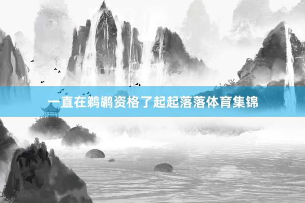 一直在鹈鹕资格了起起落落体育集锦