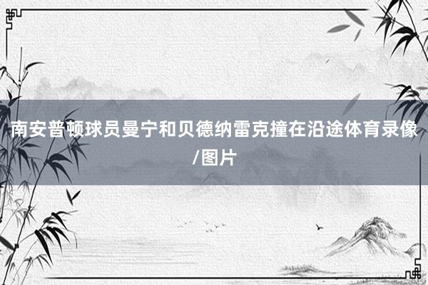 南安普顿球员曼宁和贝德纳雷克撞在沿途体育录像/图片