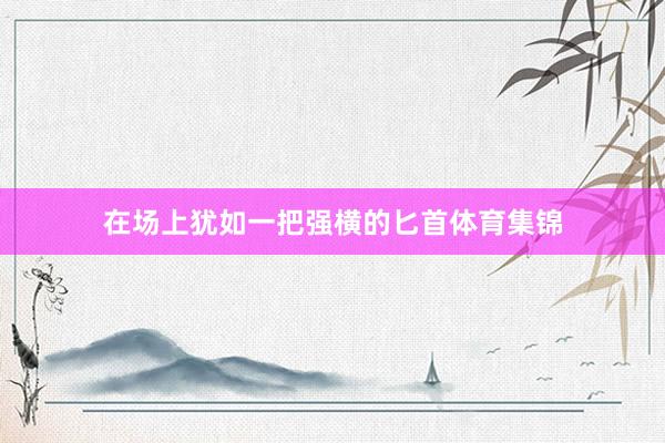 在场上犹如一把强横的匕首体育集锦