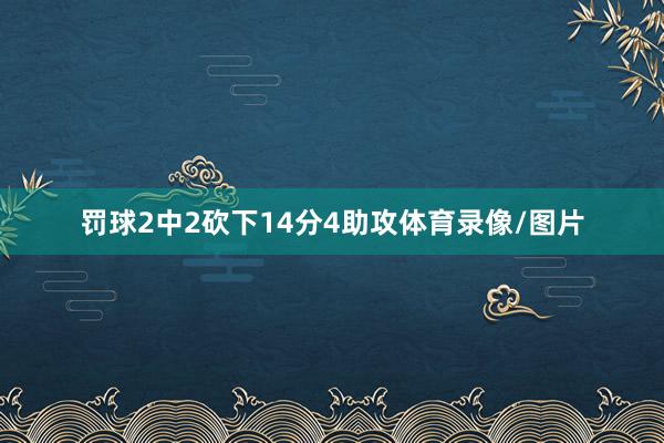 罚球2中2砍下14分4助攻体育录像/图片