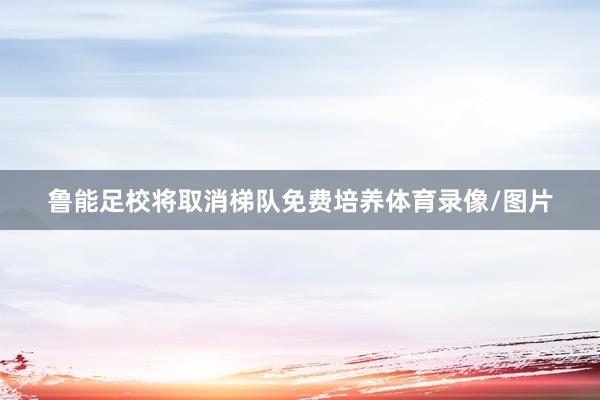 鲁能足校将取消梯队免费培养体育录像/图片