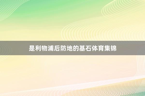 是利物浦后防地的基石体育集锦