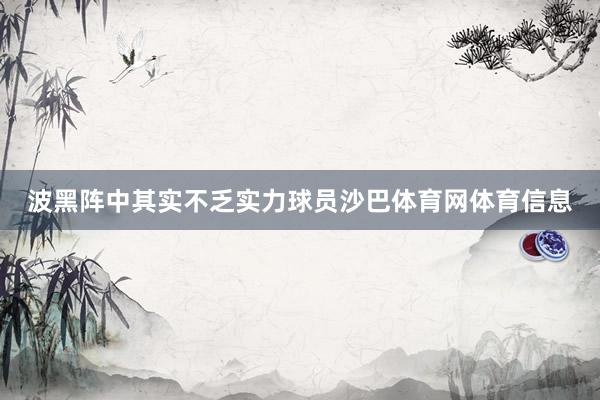 波黑阵中其实不乏实力球员沙巴体育网体育信息