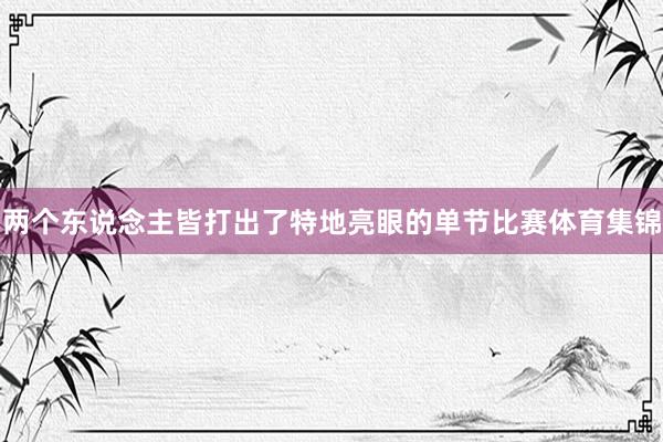 两个东说念主皆打出了特地亮眼的单节比赛体育集锦