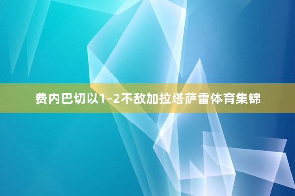 费内巴切以1-2不敌加拉塔萨雷体育集锦