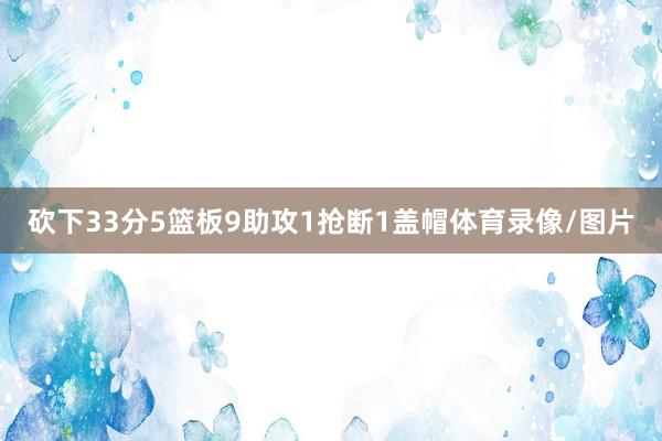 砍下33分5篮板9助攻1抢断1盖帽体育录像/图片