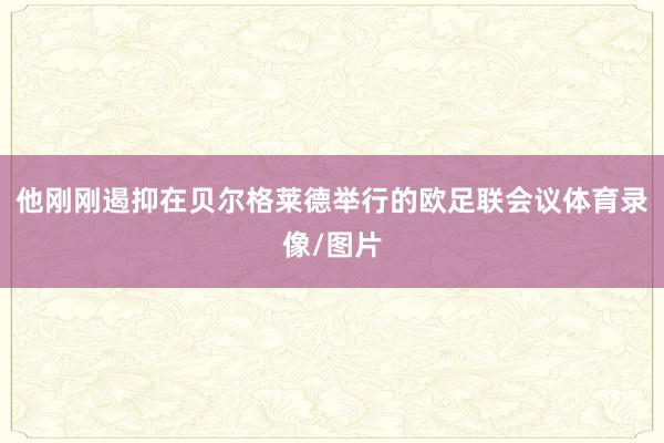 他刚刚遏抑在贝尔格莱德举行的欧足联会议体育录像/图片