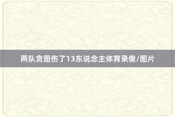 两队贪图伤了13东说念主体育录像/图片