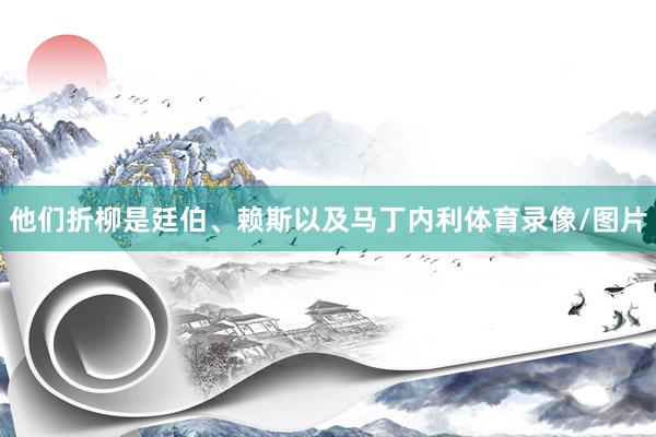 他们折柳是廷伯、赖斯以及马丁内利体育录像/图片
