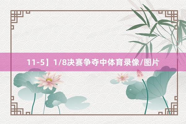 11-5】1/8决赛争夺中体育录像/图片