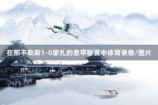 在那不勒斯1-0蒙扎的意甲联赛中体育录像/图片