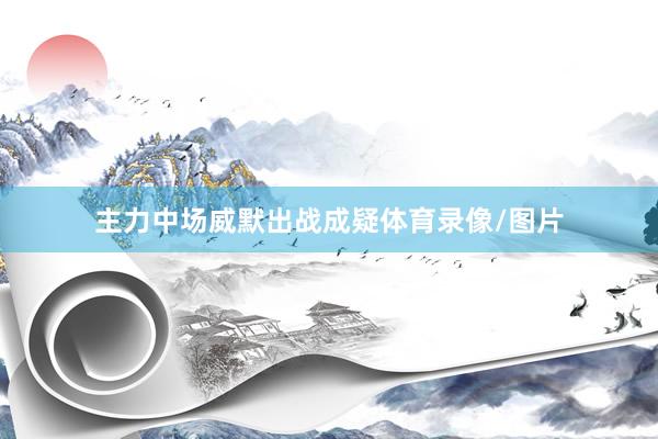 主力中场威默出战成疑体育录像/图片