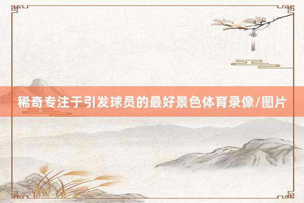 稀奇专注于引发球员的最好景色体育录像/图片