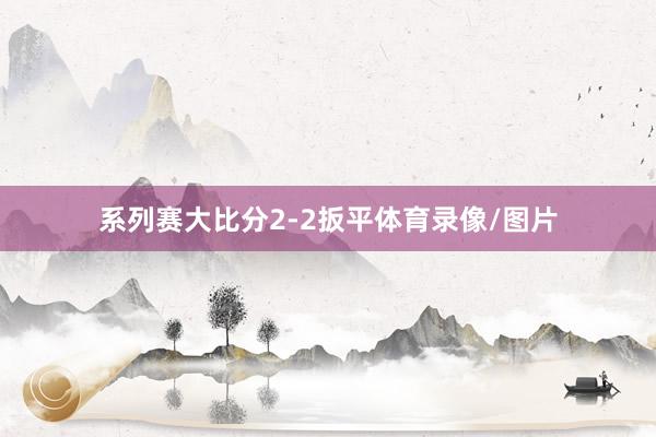 系列赛大比分2-2扳平体育录像/图片