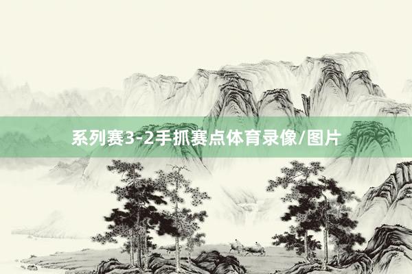 系列赛3-2手抓赛点体育录像/图片