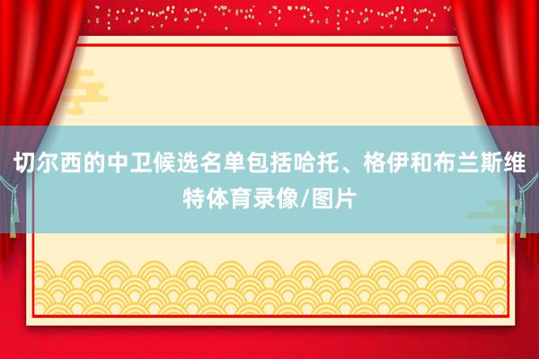 切尔西的中卫候选名单包括哈托、格伊和布兰斯维特体育录像/图片