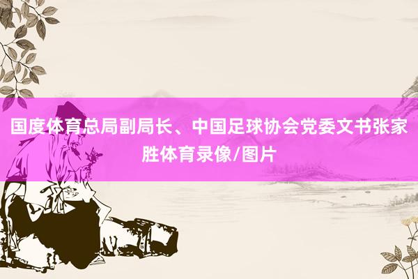 国度体育总局副局长、中国足球协会党委文书张家胜体育录像/图片