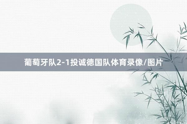 葡萄牙队2-1投诚德国队体育录像/图片
