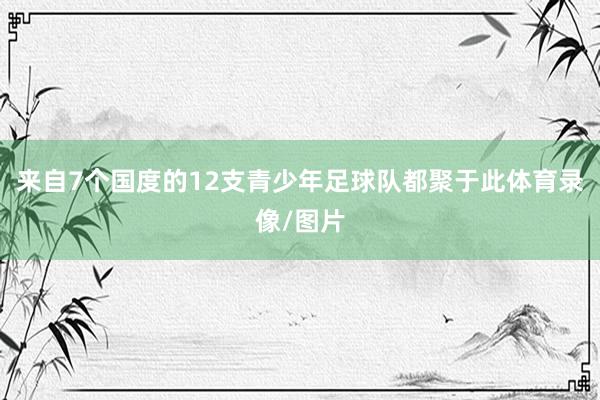来自7个国度的12支青少年足球队都聚于此体育录像/图片