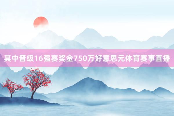 其中晋级16强赛奖金750万好意思元体育赛事直播