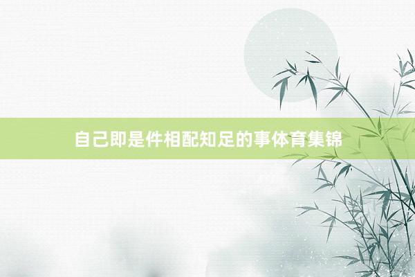 自己即是件相配知足的事体育集锦