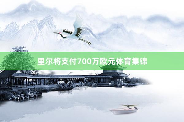 里尔将支付700万欧元体育集锦