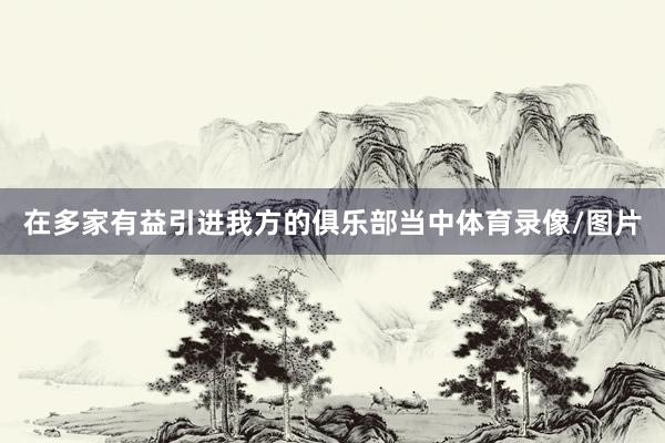 在多家有益引进我方的俱乐部当中体育录像/图片
