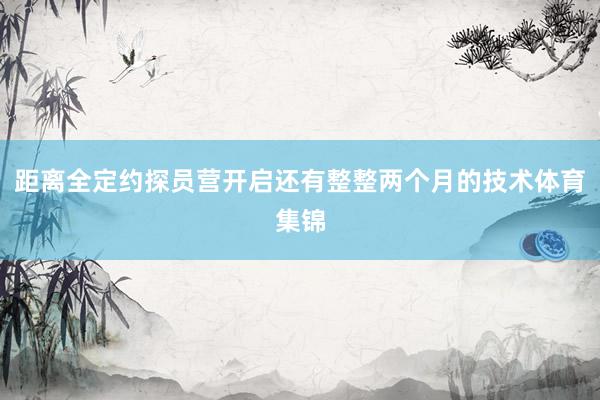 距离全定约探员营开启还有整整两个月的技术体育集锦