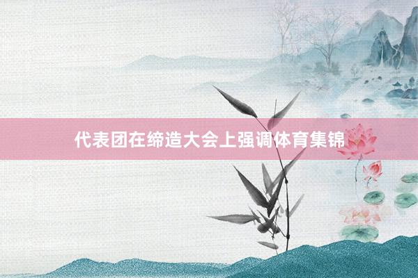 代表团在缔造大会上强调体育集锦