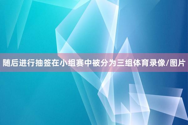 随后进行抽签在小组赛中被分为三组体育录像/图片