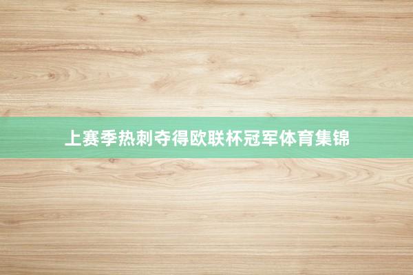 上赛季热刺夺得欧联杯冠军体育集锦