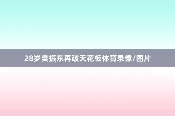 28岁樊振东再破天花板体育录像/图片
