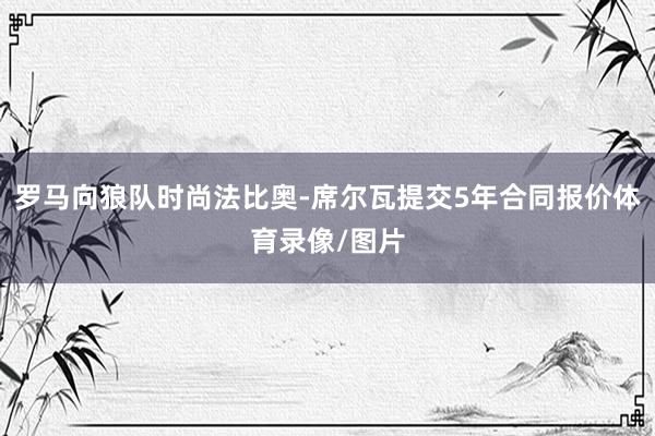 罗马向狼队时尚法比奥-席尔瓦提交5年合同报价体育录像/图片
