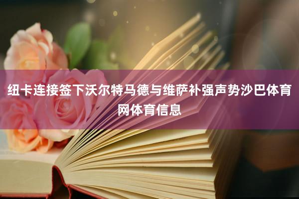 纽卡连接签下沃尔特马德与维萨补强声势沙巴体育网体育信息
