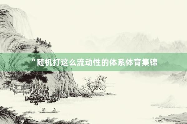 “随机打这么流动性的体系体育集锦