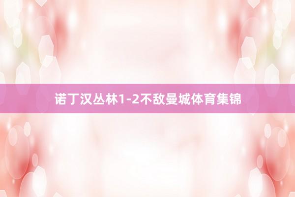 诺丁汉丛林1-2不敌曼城体育集锦