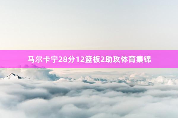 马尔卡宁28分12篮板2助攻体育集锦