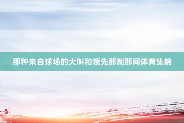 那种来自球场的大叫和领先那刹那间体育集锦