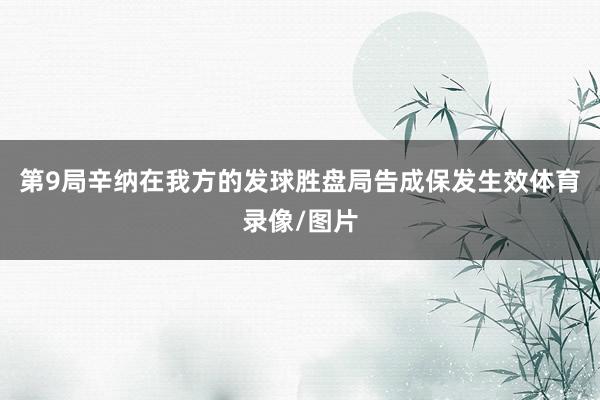 第9局辛纳在我方的发球胜盘局告成保发生效体育录像/图片