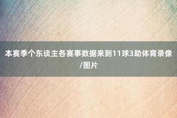 本赛季个东谈主各赛事数据来到11球3助体育录像/图片